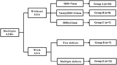 Individualized Experience With Percutaneous Transcatheter Closure of Multiple Atrial Septal Defects: A Single-Center Study